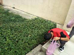 0d36c86144611d43f86ae05f6ff3771