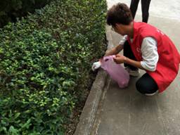 d49ef7ace89c9971f1110e51f12dfa2